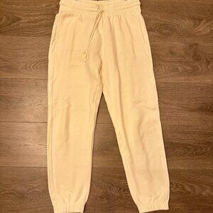 Aritzia TNA Slim Sweatpant